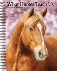 Produktbild: What Horses Teach Us 2026 Engagement Calendar