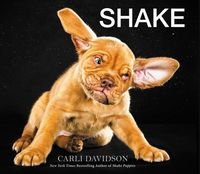 Produktbild: Shake