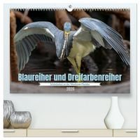 Produktbild: Blaureiher und Dreifarbenreiher (hochwertiger Premium Wandkalender 2026 DIN A2 quer), Kunstdruck in Hochglanz