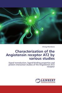 Produktbild: Characterization of the Angiotensin receptor AT2 by various studies
