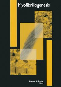 Produktbild: Myofibrillogenesis
