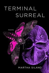 Produktbild: Terminal Surreal