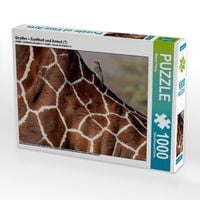 Produktbild: CALVENDO Puzzle Giraffen - Sanftheit und Anmut (1) | 1000 Teile Lege-Gr&ouml;&szlig;e 64x48cm Foto-Puzzle f&uuml;r gl&uuml;ckliche Stunden