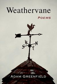 Produktbild: Weathervane