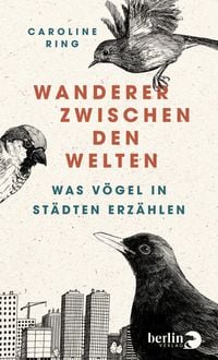Produktbild: Wanderer zwischen den Welten