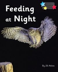Produktbild: Feeding at Night