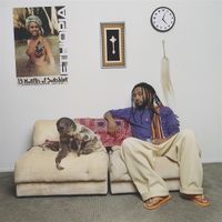 Produktbild: 13 Months Of Sunshine (Black Vinyl)