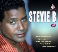 Bild vom Artikel Stevie B: Stevie B vom Autor Stevie B.