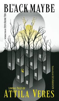 Produktbild: The Black Maybe