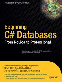 Produktbild: Beginning C# Databases