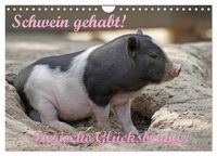 Produktbild: Schwein gehabt! (Wandkalender 2026 DIN A4 quer), CALVENDO Monatskalender