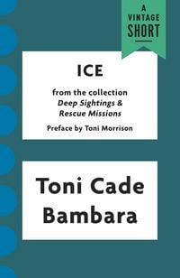 Produktbild: Ice