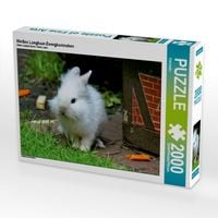 Produktbild: Wei&szlig;es Langhaar-Zwergkaninchen (Puzzle)