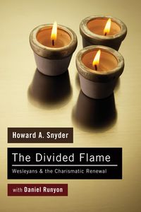 Produktbild: The Divided Flame
