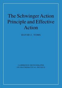 Produktbild: The Schwinger Action Principle and Effective Action