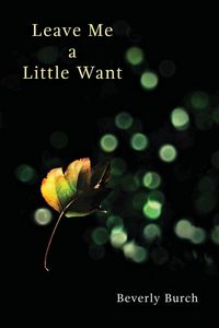 Produktbild: Leave Me a Little Want