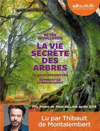 Produktbild: La vie secr&egrave;te des arbres