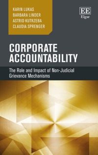 Bild vom Artikel Lukas, K:  Corporate Accountability vom Autor Karin Lukas