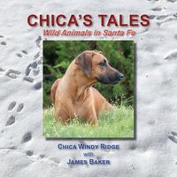 Produktbild: Chica's Tales, Wild Animals in Santa Fe