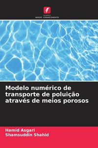 Produktbild: Modelo num&eacute;rico de transporte de polui&ccedil;&atilde;o atrav&eacute;s de meios porosos