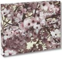 Produktbild: Blossom