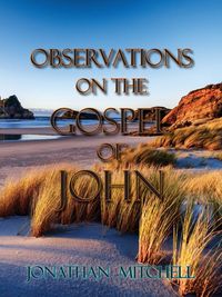 Produktbild: Observations on the Gospel of John