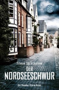 Produktbild: Der Nordseeschwur / Theodor Storm Bd.3