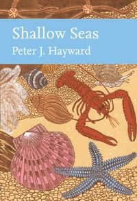 Produktbild: Hayward, P: Shallow Seas