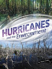 Produktbild: Hurricanes and the Environment