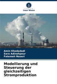 Produktbild: Modellierung und Steuerung der gleichzeitigen Stromproduktion