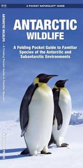 Produktbild: Antarctic Wildlife