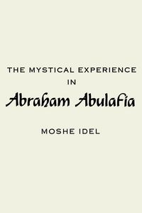 Produktbild: The Mystical Experience in Abraham Abulafia