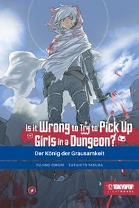 Produktbild: Is it wrong to try to pick up Girls in a Dungeon? Light Novel 10