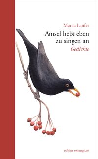 Produktbild: Amsel hebt eben zu singen an