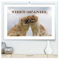 Produktbild: Tibet-Spaniel (hochwertiger Premium Wandkalender 2027 DIN A2 quer), Kunstdruck in Hochglanz