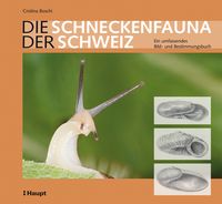 Produktbild: Die Schneckenfauna der Schweiz
