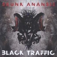 Bild vom Artikel Black Traffic vom Autor Skunk Anansie