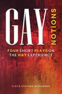 Produktbild: Gay Notions