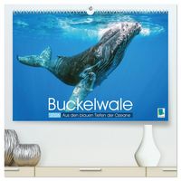 Produktbild: Buckelwale: Aus den blauen Tiefen der Ozeane (hochwertiger Premium Wandkalender 2026 DIN A2 quer), Kunstdruck in Hochglanz