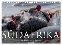 Produktbild: S&uuml;dafrika - Die Tierwelt (Wandkalender 2026 DIN A4 quer), CALVENDO Monatskalender