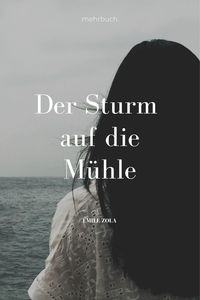 Bild vom Artikel Der Sturm auf die Mühle vom Autor Emil Zola