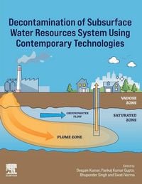 Produktbild: Decontamination of Subsurface Water Resources System using Contemporary Technologies