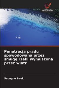 Produktbild: Penetracja pr&iquest;du spowodowana przez smug&iquest; rzeki wymuszon&iquest; przez wiatr