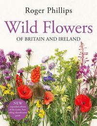Produktbild: Wild Flowers