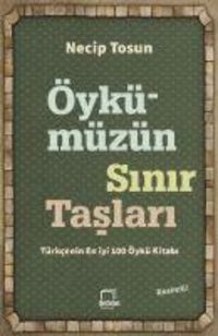 Produktbild: &Ouml;yk&uuml;m&uuml;z&uuml;n Sinir Taslari