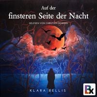 Produktbild: Auf der finsteren Seite der Nacht