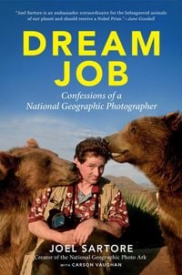 Produktbild: Dream Job