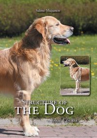 Produktbild: Structure of the Dog