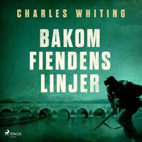 Produktbild: Bakom fiendens linjer