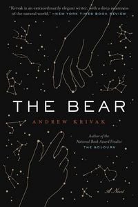 Produktbild: The Bear